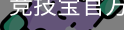 竞技宝